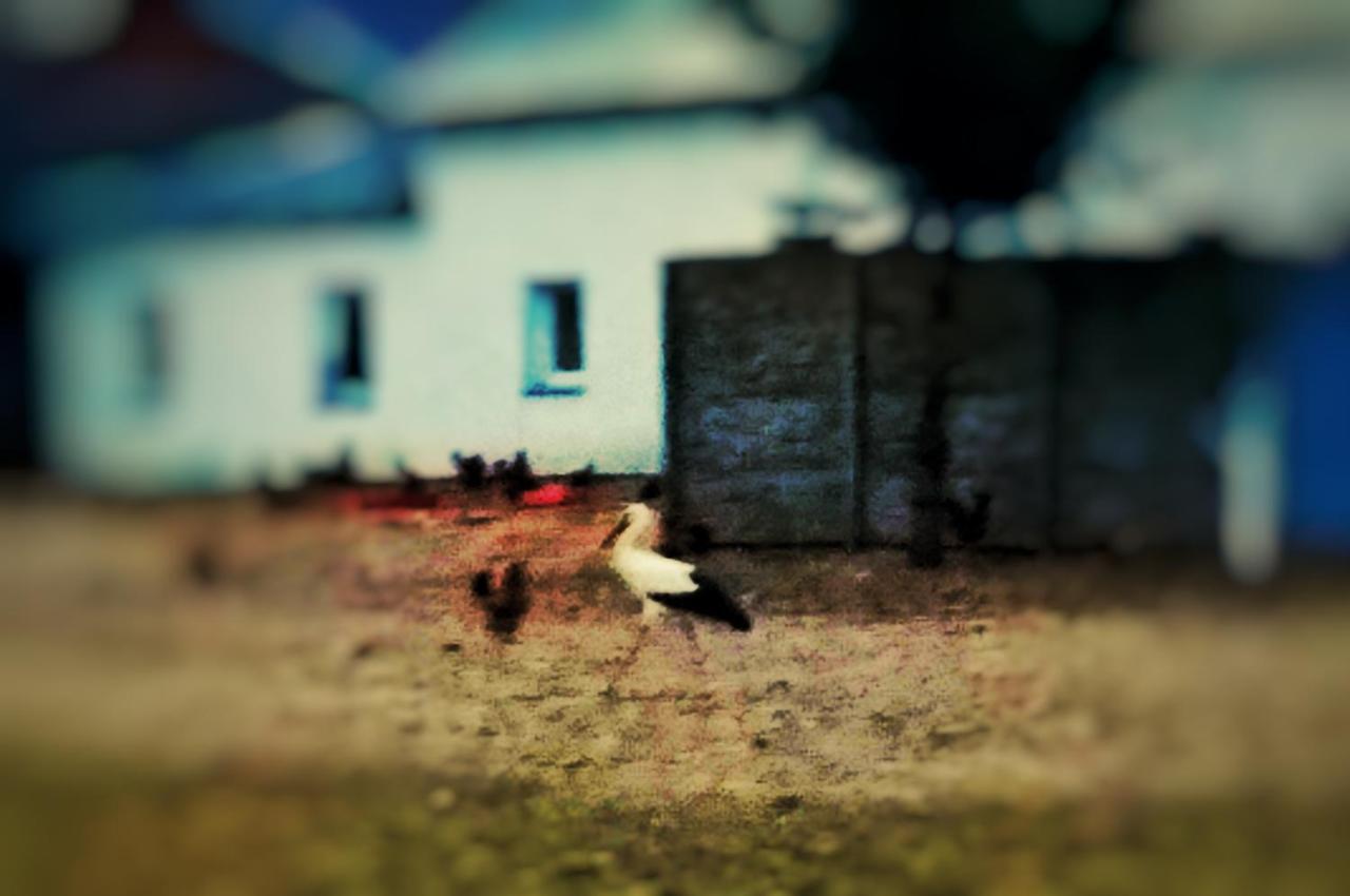 Home&Slow Life Gdańsk Eksteriør bilde